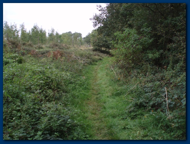 600x449 pixels (151K)